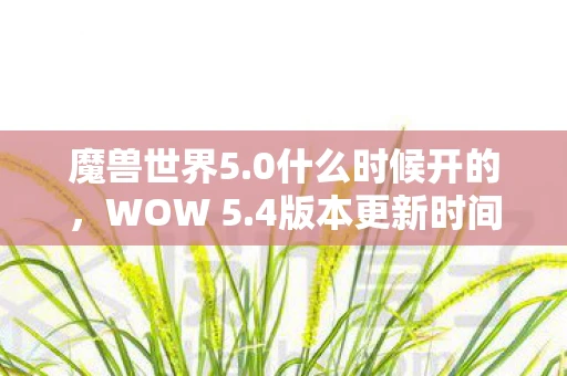 魔兽世界5.0什么时候开的，WOW 5.4版本更新时间及内容预测