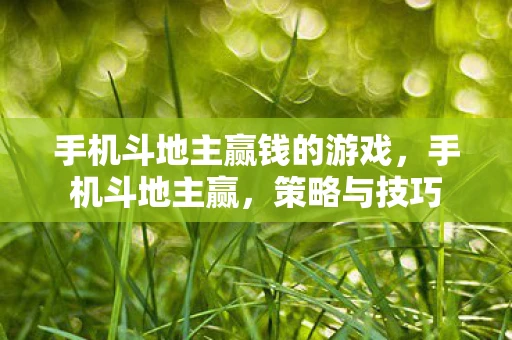 手机斗地主赢钱的游戏,手机斗地主赢,策略与技巧 手机斗地主赢钱的游戏,手机斗地主赢,策略与技巧