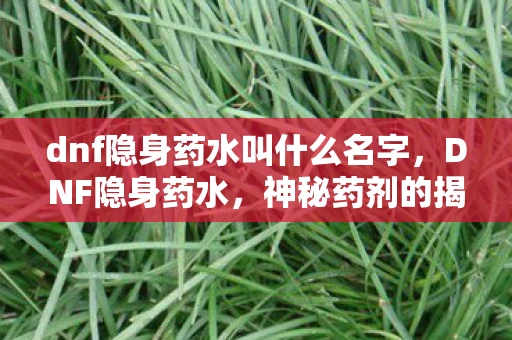 dnf隐身药水叫什么名字,DNF隐身药水,神秘药剂的揭秘与解析 dnf隐身药水叫什么名字,DNF隐身药水,神秘药剂的揭秘与解析