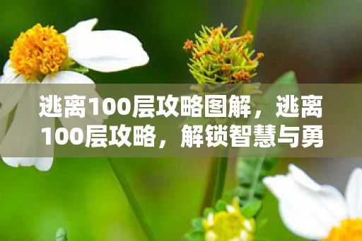 逃离100层攻略图解,逃离100层攻略,解锁智慧与勇气的终极挑战 逃离100层攻略图解,逃离100层攻略,解锁智慧与勇气的终极挑战
