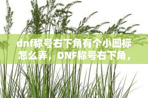 dnf称号右下角有个小图标怎么弄，DNF称号右下角，隐藏的秘密与特殊意义