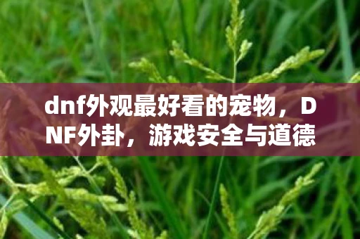 dnf外观最好看的宠物，DNF外卦，游戏安全与道德边界的探讨