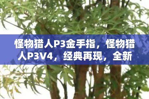 怪物猎人P3金手指，怪物猎人P3V4，经典再现，全新体验