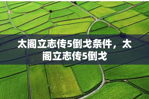 太阁立志传5倒戈条件，太阁立志传5倒戈