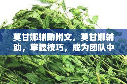 莫甘娜辅助附文,莫甘娜辅助,掌握技巧,成为团队中的关键角色 莫甘娜辅助附文,莫甘娜辅助,掌握技巧,成为团队中的关键角色