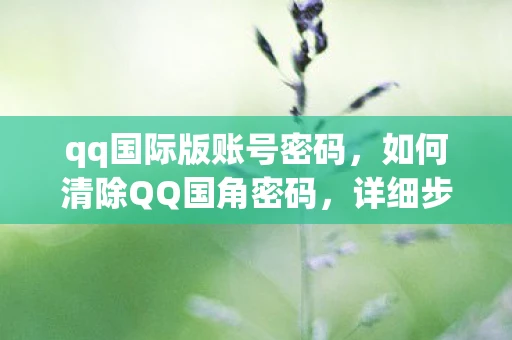 qq国际版账号密码，如何清除QQ国角密码，详细步骤与注意事项