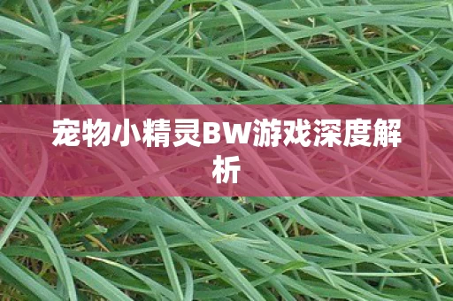 宠物小精灵BW游戏深度解析图片