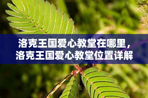 洛克王国爱心教堂在哪里,洛克王国爱心教堂位置详解 洛克王国爱心教堂在哪里,洛克王国爱心教堂位置详解