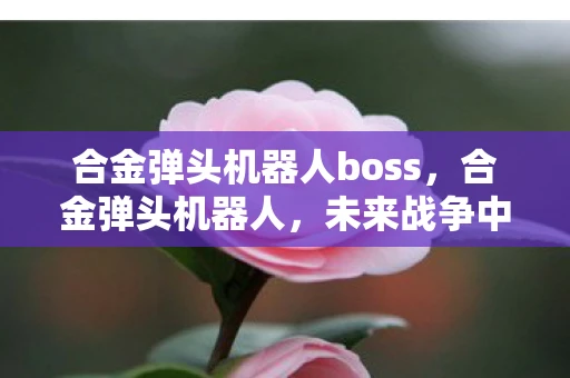 合金弹头机器人boss，合金弹头机器人，未来战争中的钢铁卫士