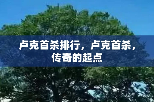 卢克首杀排行，卢克首杀，传奇的起点