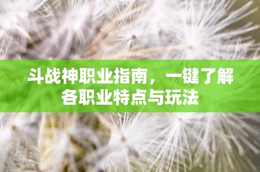 一键了解各职业特点与玩法图片