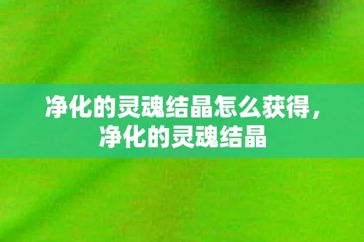 净化的灵魂结晶怎么获得，净化的灵魂结晶