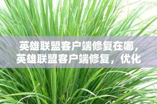 英雄联盟客户端修复在哪，英雄联盟客户端修复，优化游戏体验，修复常见问题