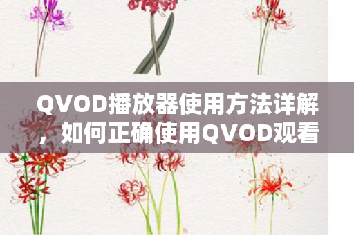 如何正确使用QVOD观看视频图片