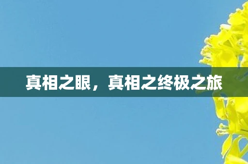 真相之眼，真相之终极之旅