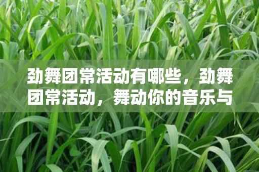 劲舞团常活动有哪些，劲舞团常活动，舞动你的音乐与激情