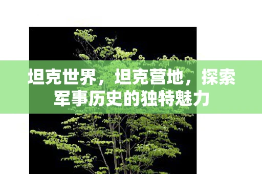 坦克世界,坦克营地,探索军事历史的独特魅力 坦克世界,坦克营地,探索军事历史的独特魅力