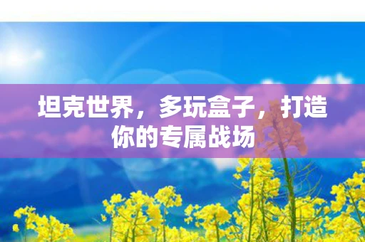 坦克世界,多玩盒子,打造你的专属战场 坦克世界,多玩盒子,打造你的专属战场