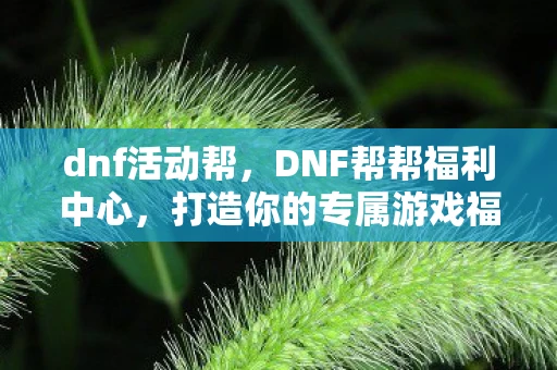 dnf活动帮,DNF帮帮福利中心,打造你的专属游戏福利站 dnf活动帮,DNF帮帮福利中心,打造你的专属游戏福利站