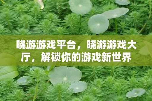 晓游游戏平台，晓游游戏大厅，解锁你的游戏新世界