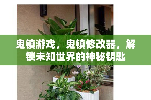 鬼镇游戏，鬼镇修改器，解锁未知世界的神秘钥匙