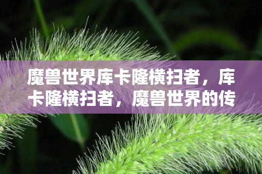 魔兽世界库卡隆横扫者，库卡隆横扫者，魔兽世界的传奇英雄