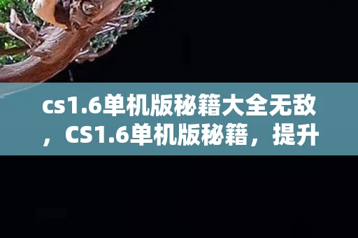 cs1.6单机版秘籍大全无敌，CS1.6单机版秘籍，提升游戏技巧与体验