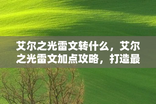 艾尔之光雷文转什么,艾尔之光雷文加点攻略,打造最强战斗法师 艾尔之光雷文转什么,艾尔之光雷文加点攻略,打造最强战斗法师