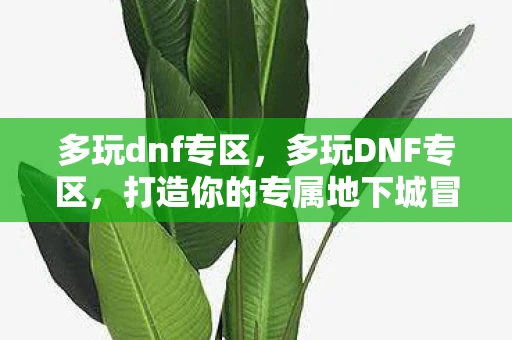 多玩dnf专区，多玩DNF专区，打造你的专属地下城冒险之旅