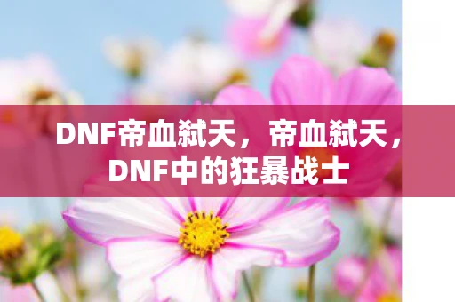 DNF帝血弑天，帝血弑天，DNF中的狂暴战士