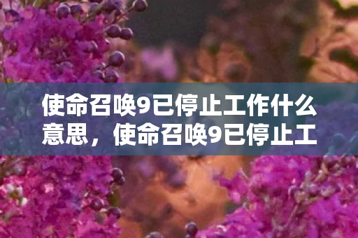 使命召唤9已停止工作什么意思，使命召唤9已停止工作，解决游戏崩溃的实用指南