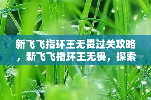 新飞飞指环王无畏过关攻略,新飞飞指环王无畏,探索未知,挑战极限 新飞飞指环王无畏过关攻略,新飞飞指环王无畏,探索未知,挑战极限