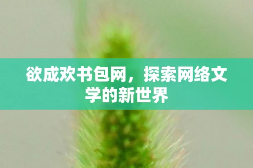 欲成欢书包网，探索网络文学的新世界