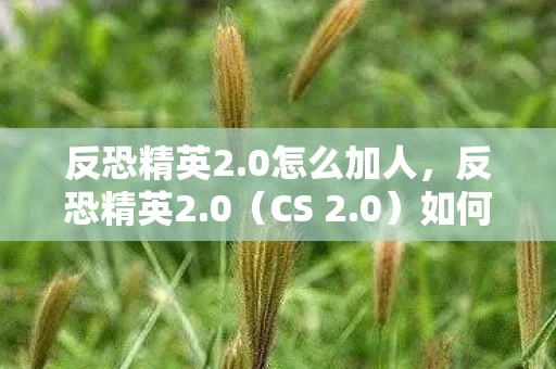 反恐精英2.0怎么加人，反恐精英2.0（CS 2.0）如何添加好友与组队
