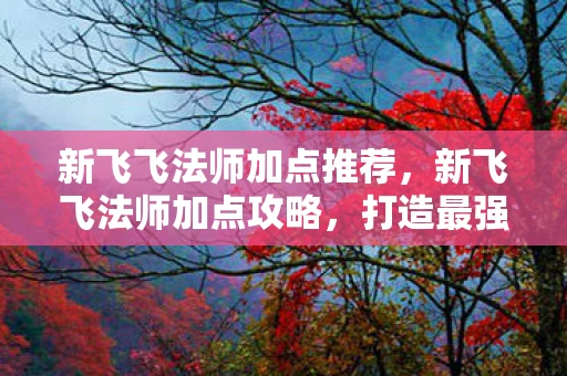 新飞飞法师加点推荐,新飞飞法师加点攻略,打造最强法师的秘诀 新飞飞法师加点推荐,新飞飞法师加点攻略,打造最强法师的秘诀