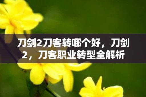 刀剑2刀客转哪个好，刀剑2，刀客职业转型全解析