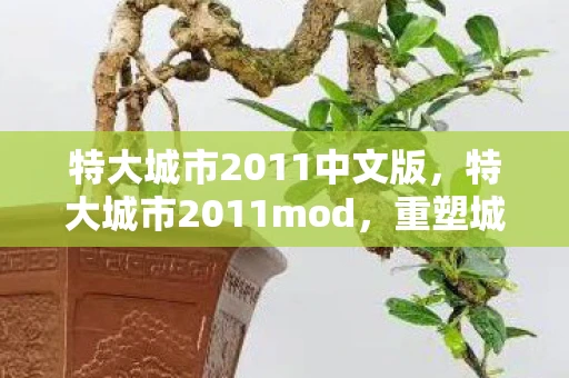 特大城市2011中文版，特大城市2011mod，重塑城市未来的模拟游戏
