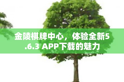 3 APP下载的魅力图片