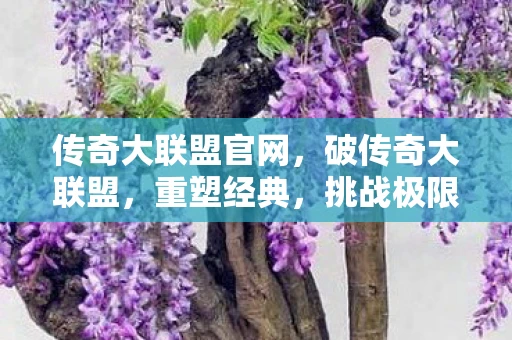 传奇大联盟官网，破传奇大联盟，重塑经典，挑战极限