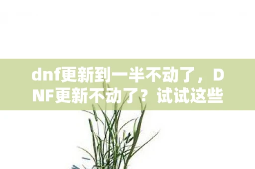dnf更新到一半不动了，DNF更新不动了？试试这些解决办法！