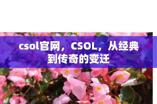 csol官网，CSOL，从经典到传奇的变迁
