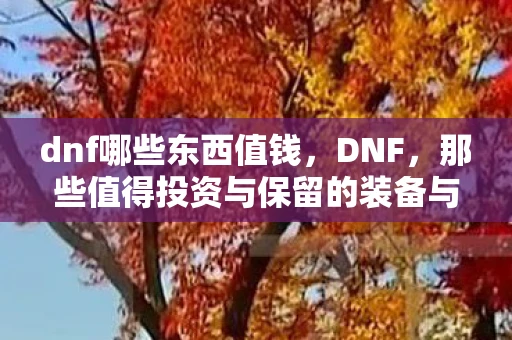 dnf哪些东西值钱，DNF，那些值得投资与保留的装备与道具
