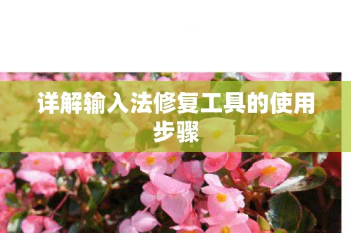 详解输入法修复工具的使用步骤图片