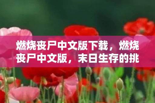 燃烧丧尸中文版下载，燃烧丧尸中文版，末日生存的挑战与希望