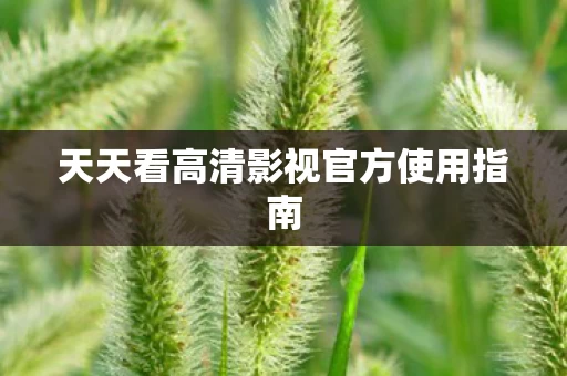 天天看高清影视官方使用指南图片