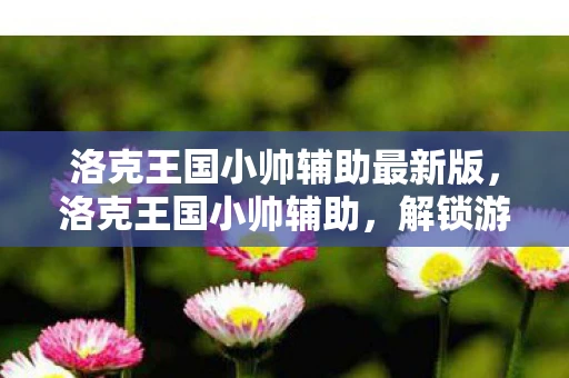洛克王国小帅辅助最新版,洛克王国小帅辅助,解锁游戏新体验 洛克王国小帅辅助最新版,洛克王国小帅辅助,解锁游戏新体验