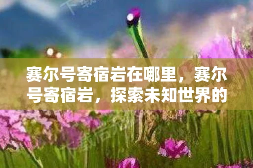 赛尔号寄宿岩在哪里,赛尔号寄宿岩,探索未知世界的神秘之旅 赛尔号寄宿岩在哪里,赛尔号寄宿岩,探索未知世界的神秘之旅