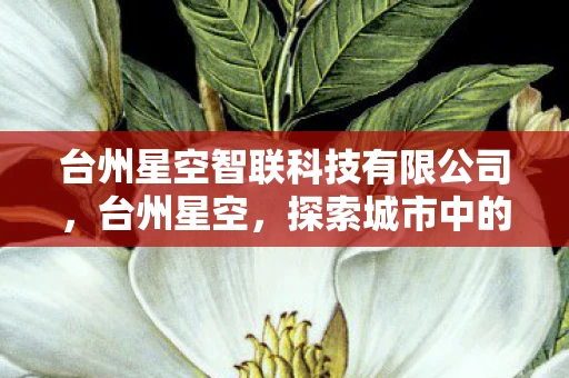 台州星空智联科技有限公司，台州星空，探索城市中的璀璨星辰