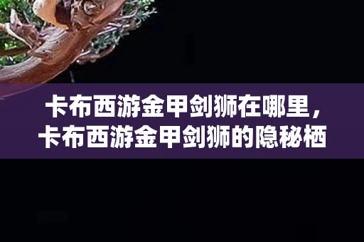 卡布西游金甲剑狮在哪里，卡布西游金甲剑狮的隐秘栖息地