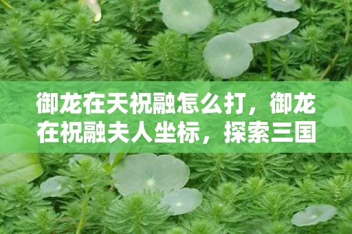 御龙在天祝融怎么打，御龙在祝融夫人坐标，探索三国文化的浪漫之旅